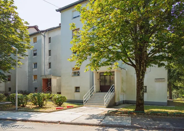 Sleeps 4 With Free Parking 아파트 리예카
